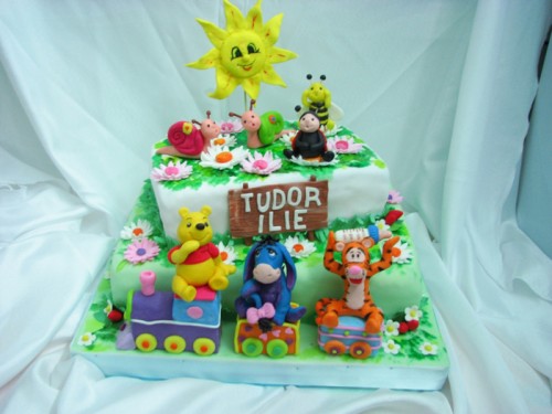 Tort pentru Tudor Ilie